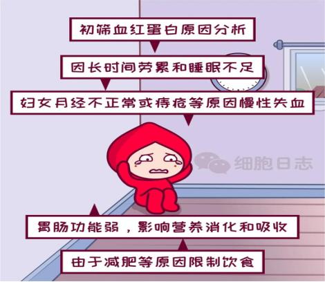 献血被告知血色素低,献血被告知血红蛋白偏少