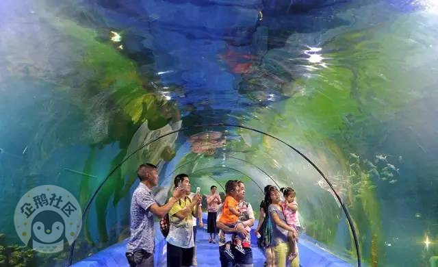 重庆悦来亲子乐园,重庆中央公园亲子乐园