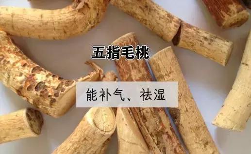 南方人参煲汤配方大全,广东人冬季鲜人参汤