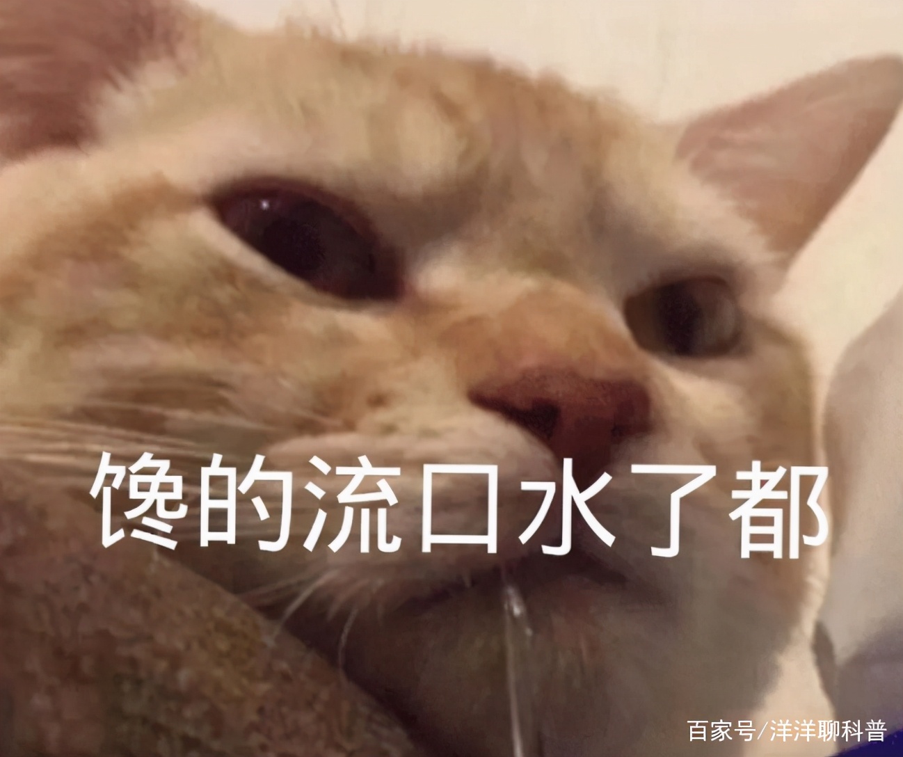 每天吞口水的次数是多少次,口水无法自行吞咽越积越多