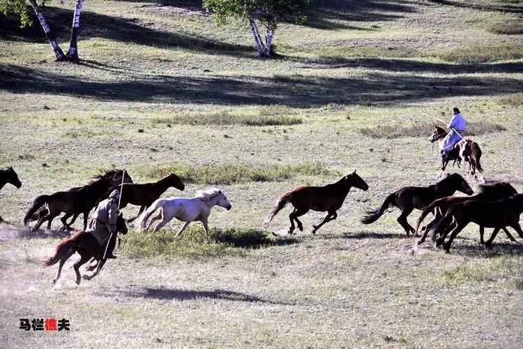 布里亚特牧民骑马摄影作品,草原蒙古族服饰摄影