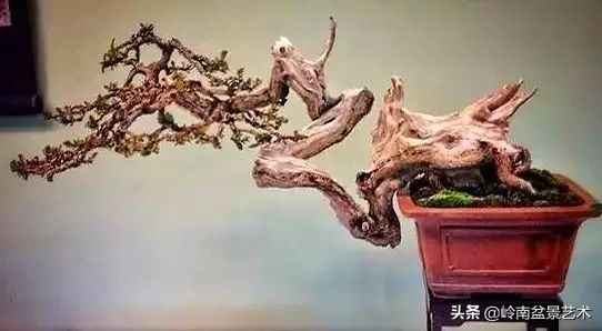 鎮礀缁濆閫㈢敓,鎮礀鐩嗘櫙澶у叏