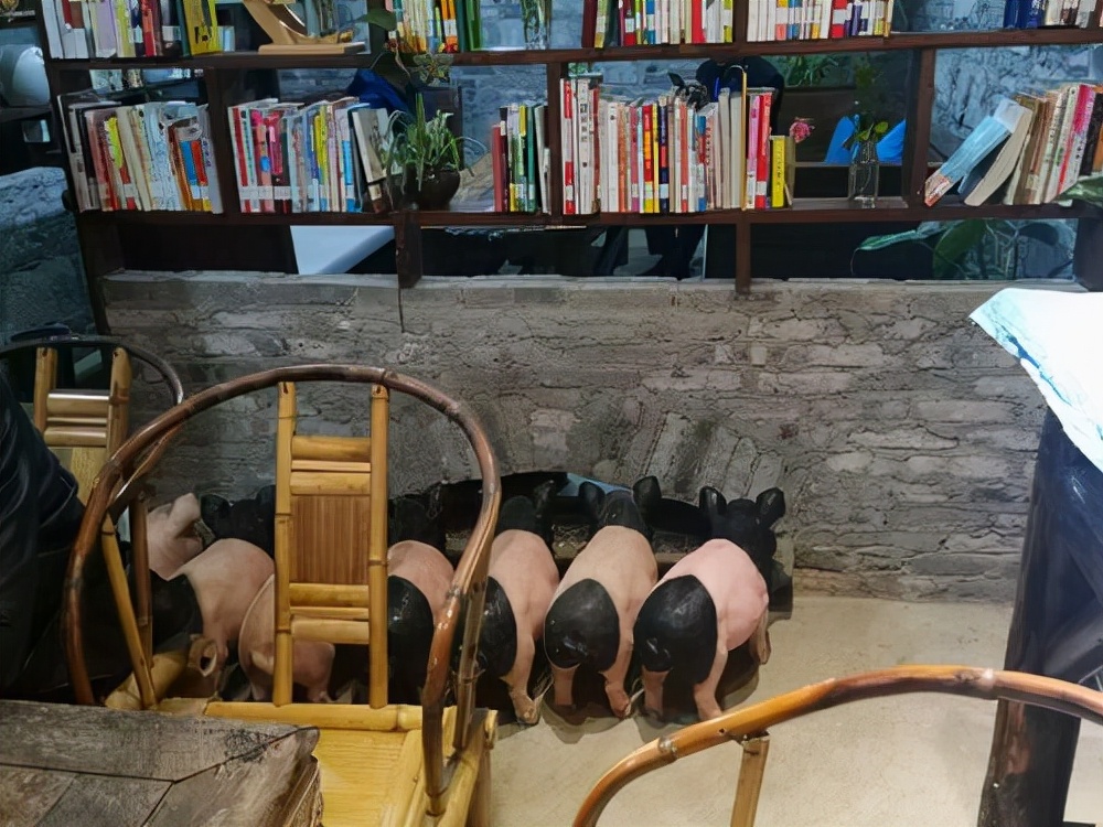 作回猪圈里的闲人，巴适