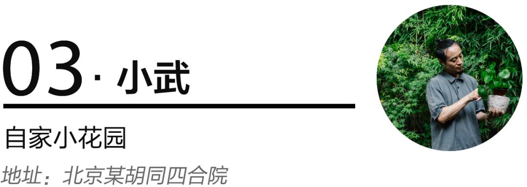 老实说，哥哥们爱起花草来，更疯狂