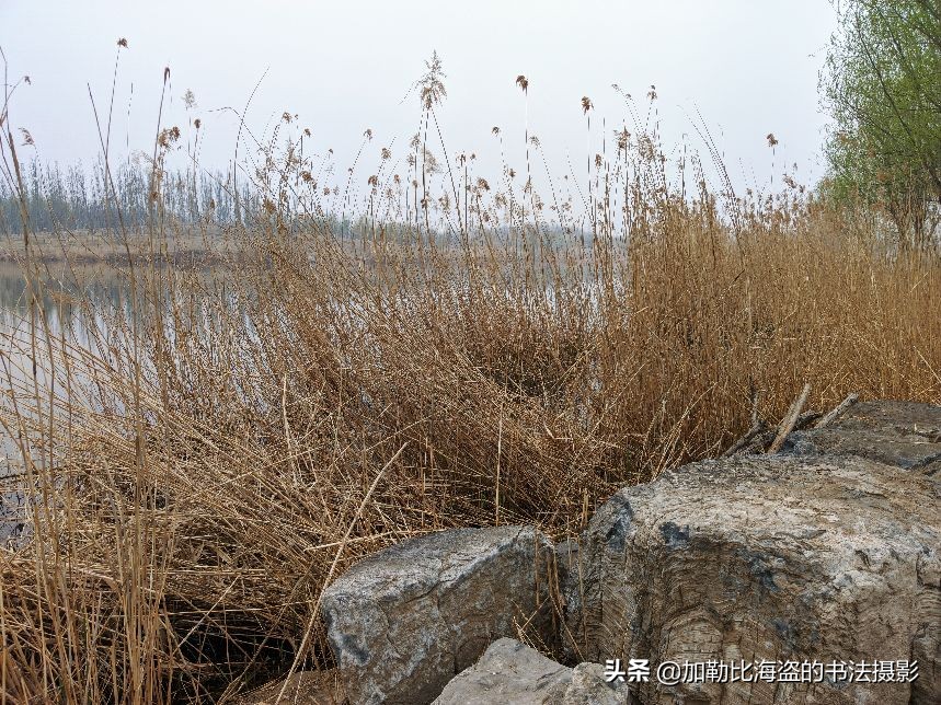 如何在公园里拍出氛围感照片,公园摄影怎么拍出高级感