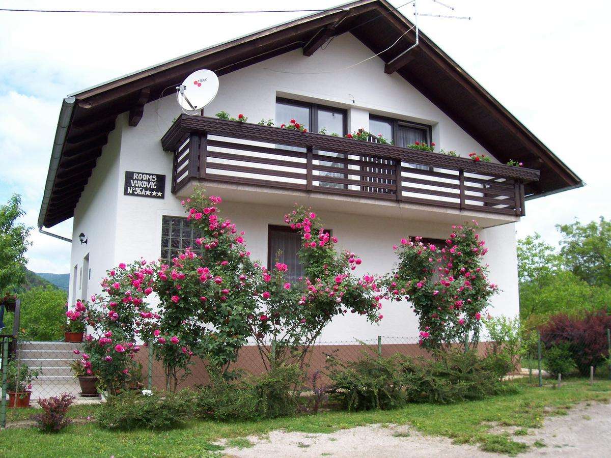 鐧藉澶ч櫌鍘嗗彶,鐧藉澶ч櫌娓歌