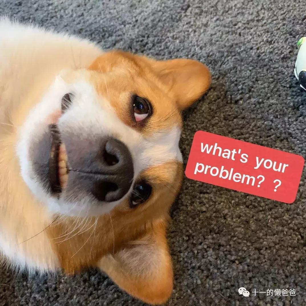 下沉市场最有前景的行业,下沉市场有什么好项目