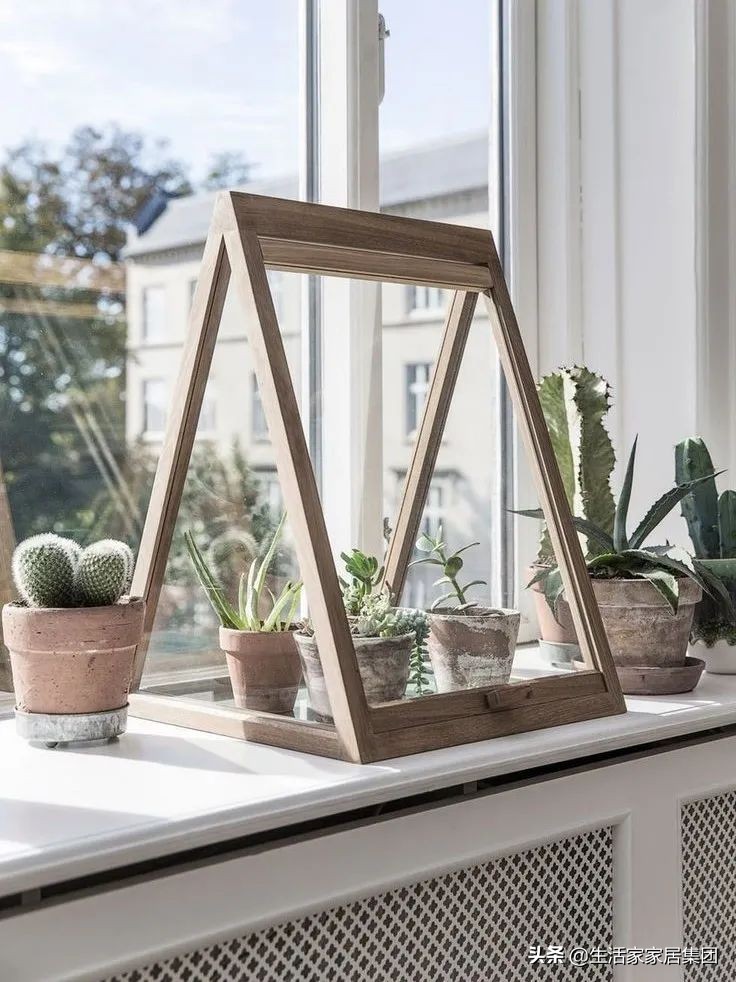 装修极简主义的室内植物搭配,家居植物现代风推荐