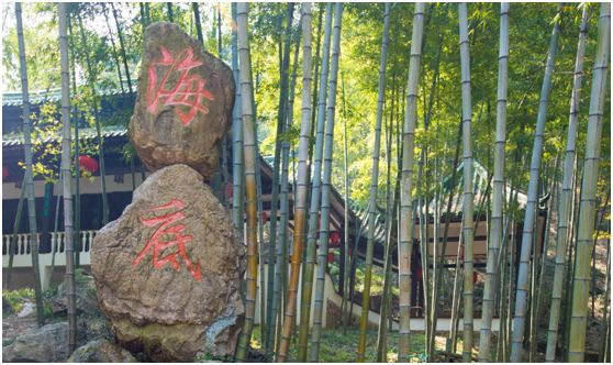 关于春天的颜色,关于春天的景色是什么