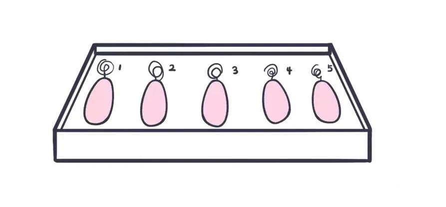 哑铃产后修复怎么做,产后哑铃的正确使用方法