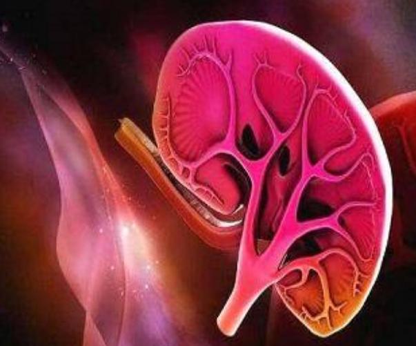 轻微肾炎吃肾康能治好吗,急性肾炎双肾肿大严重吗