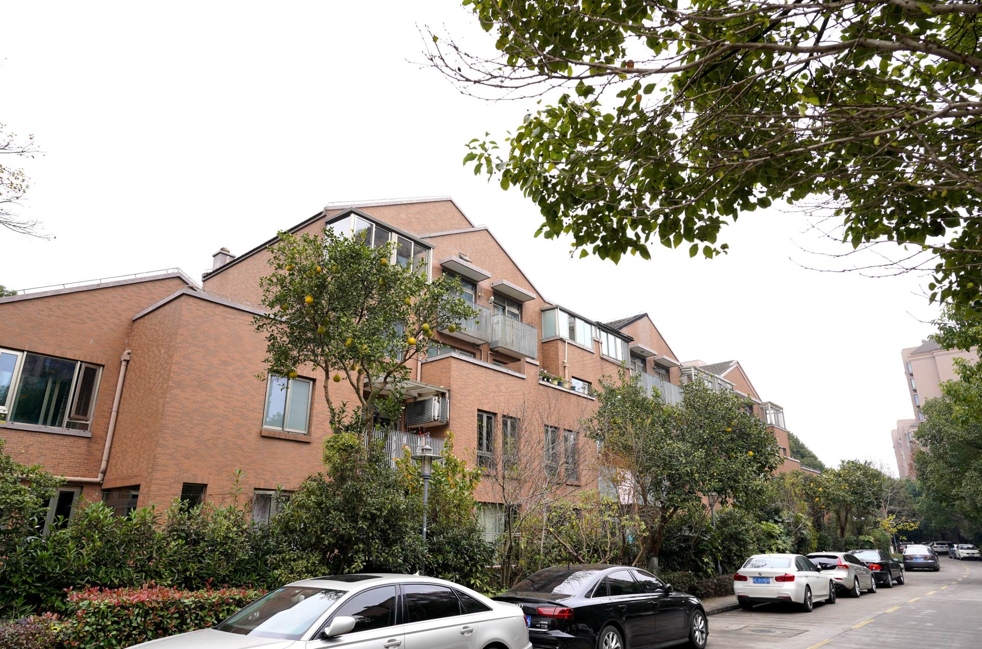 相机入坑配件,新手小白必备相机配件推荐