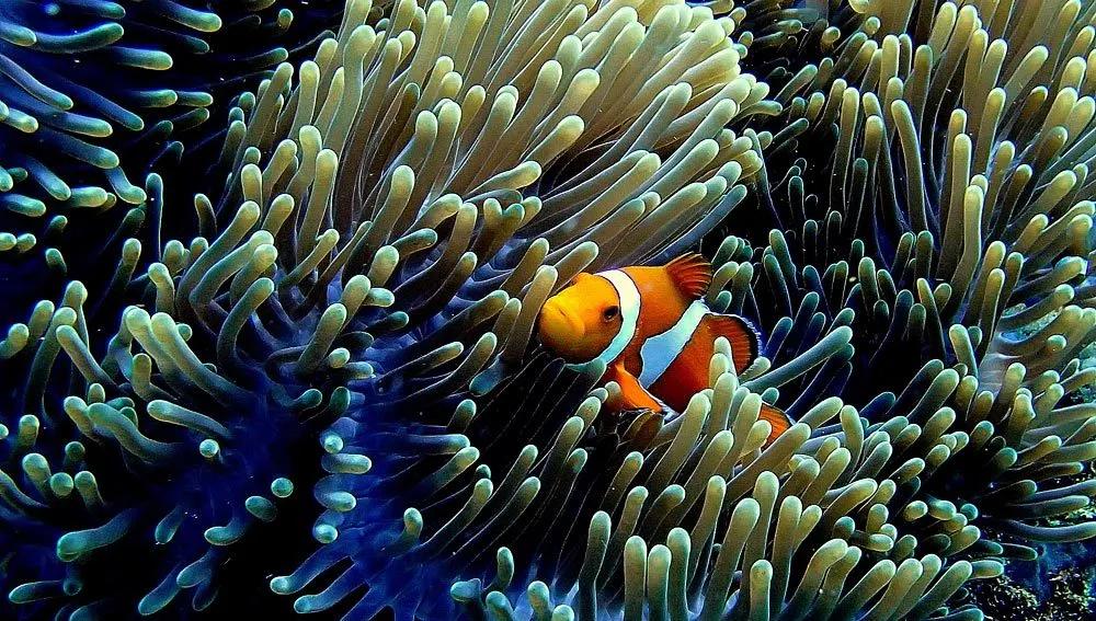 slh酒店推荐,新加坡slh酒店