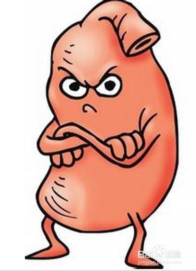 专家科普肾阳虚,肾阳虚现代医学诠释