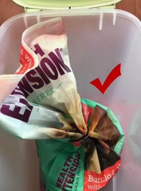 狗粮放冰箱旁会怎样,狗粮放哪里不受潮