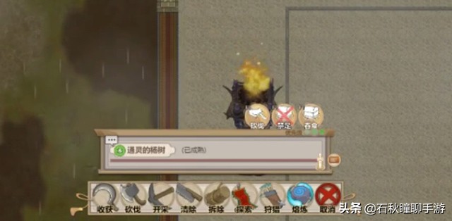 《了不起的修仙模拟器》新版本妖族崛起试玩总结体修绝了