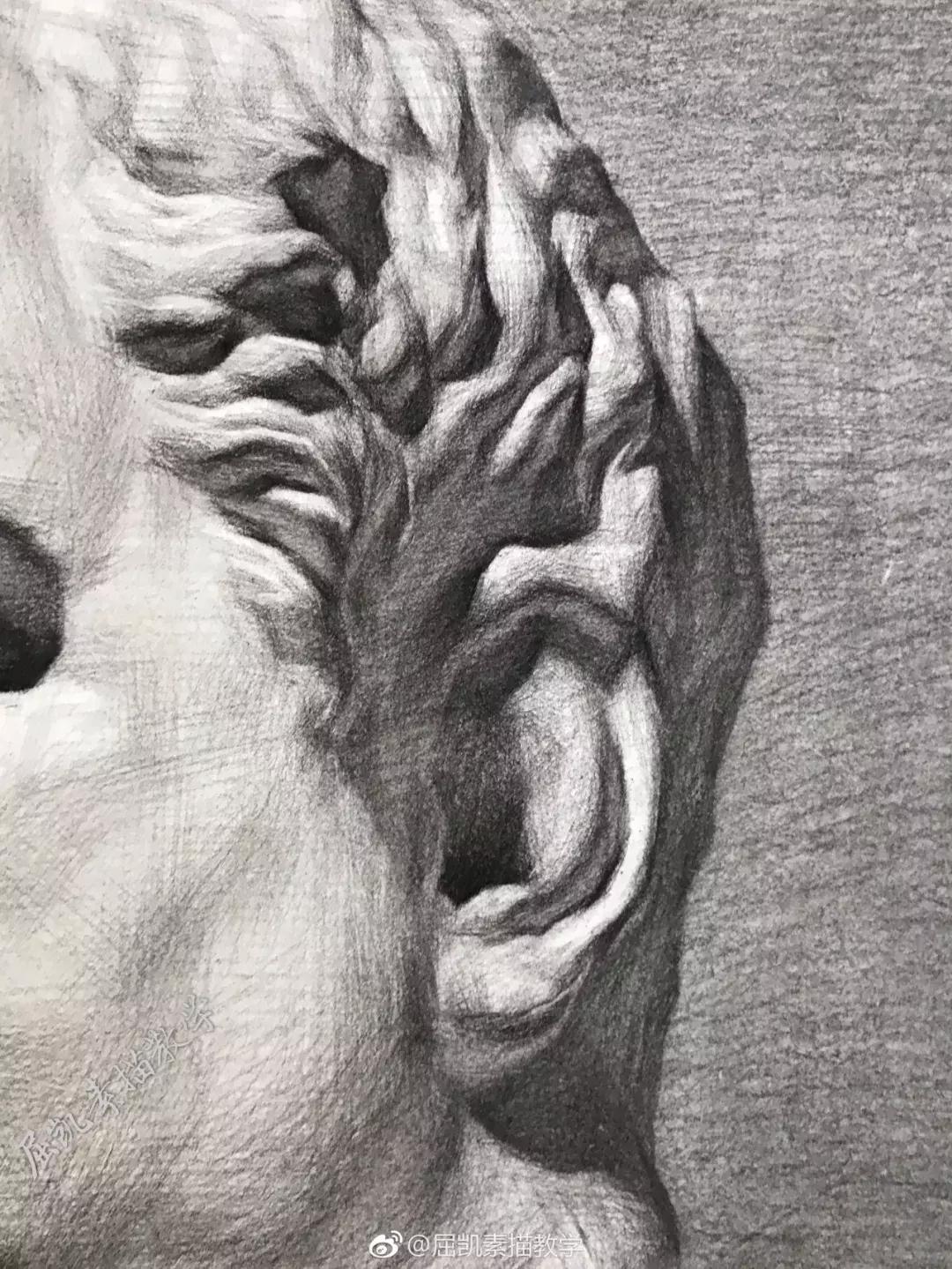 画素描不画脸,画素描总是画不深入