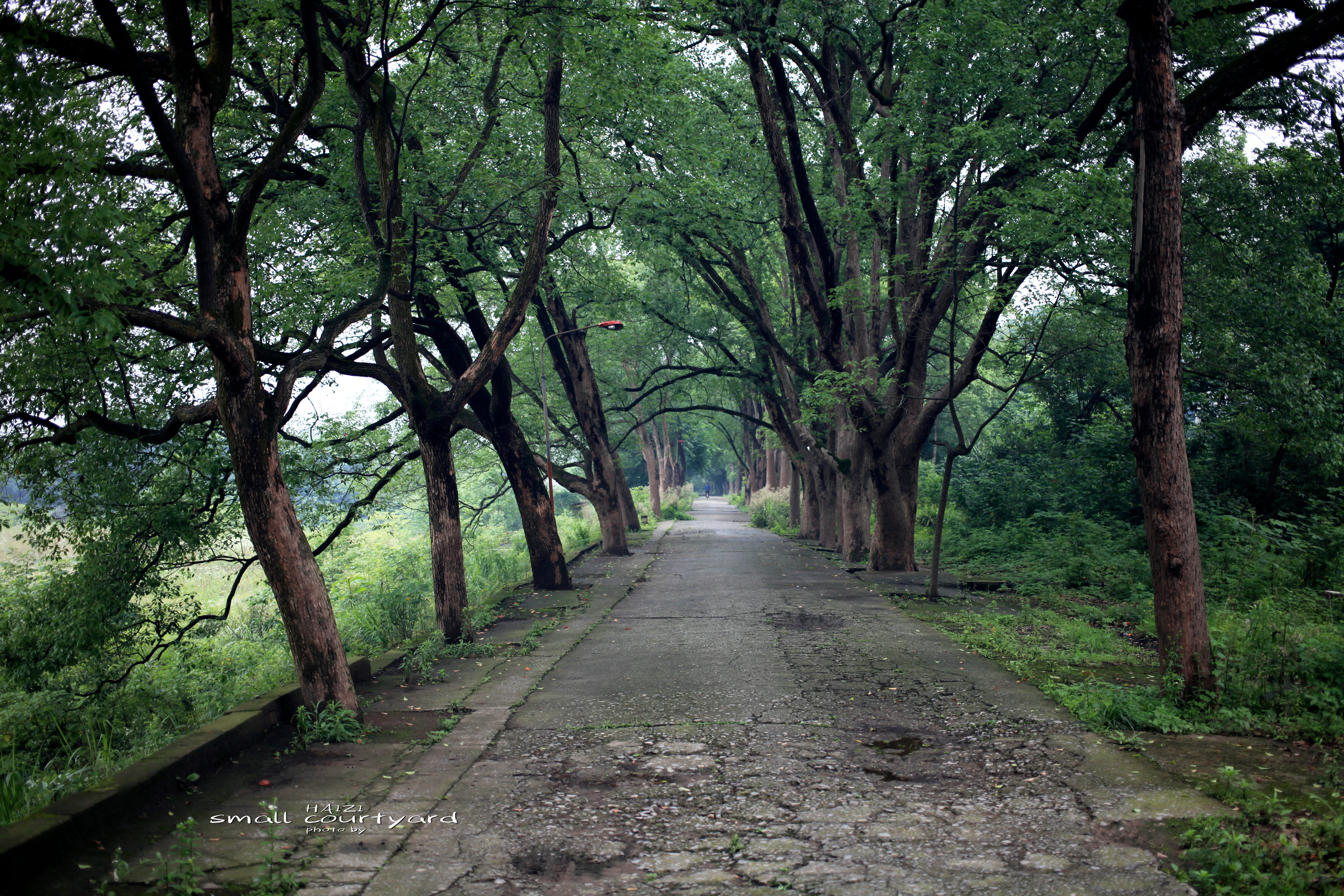 北碚区原三线建设老厂区,北碚机械工业部第三设计院