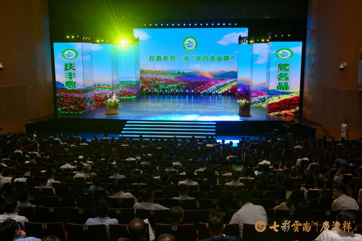 云南普洱茶十大高端茶排名,云南普洱茶滑竹梁子古树茶