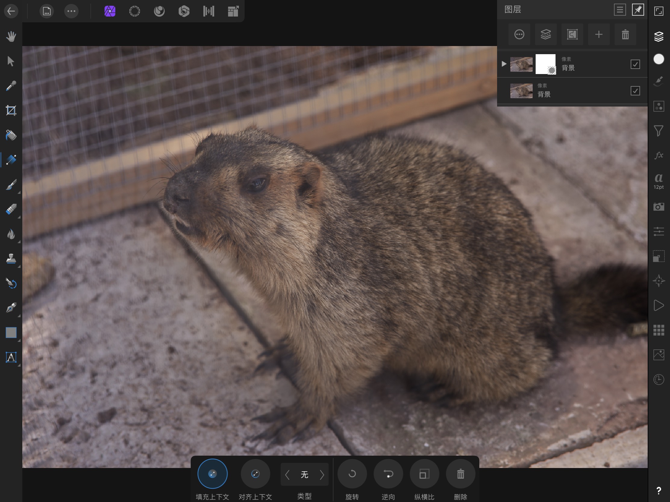 affinityphotoforipad蒙版,affinityphotoforipad