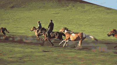 暑假带孩子内蒙古旅游攻略,暑期内蒙古亲子游鄂尔多斯