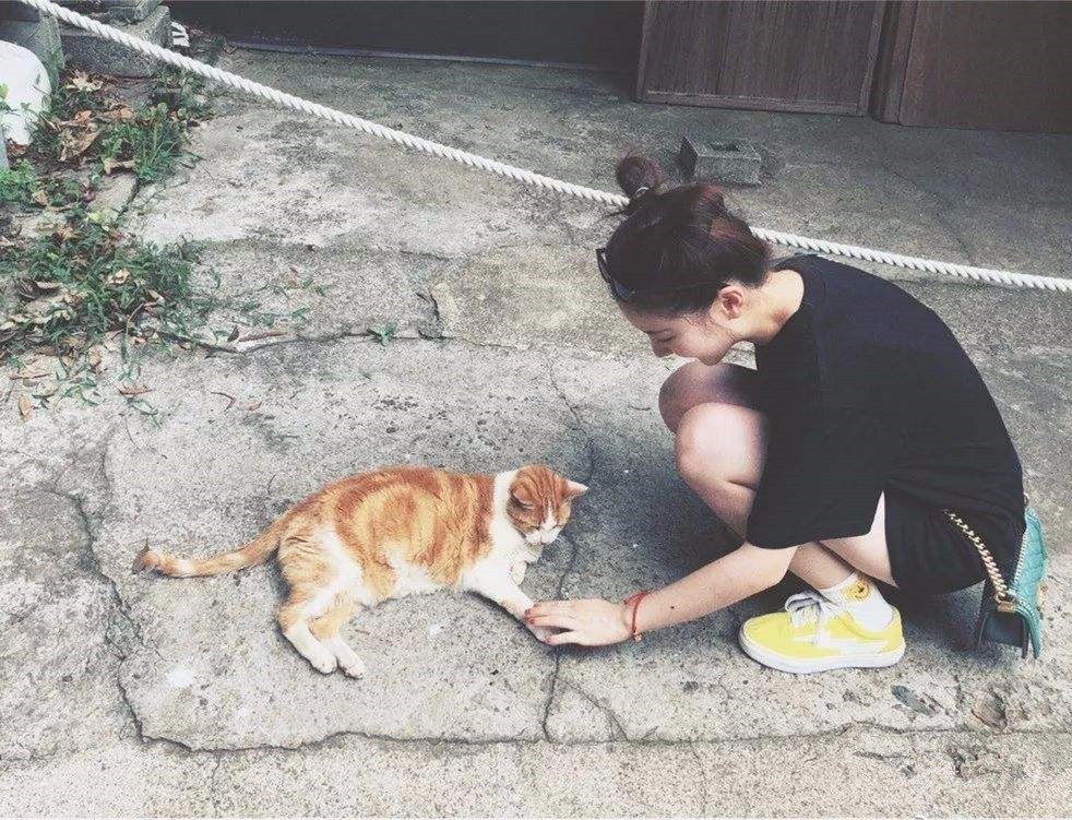 猫毛辟谣,有人说猫毛过敏怎么回答