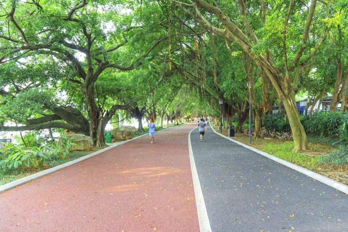 锐步irun3跑步机评测,锐步折叠跑步机irun4