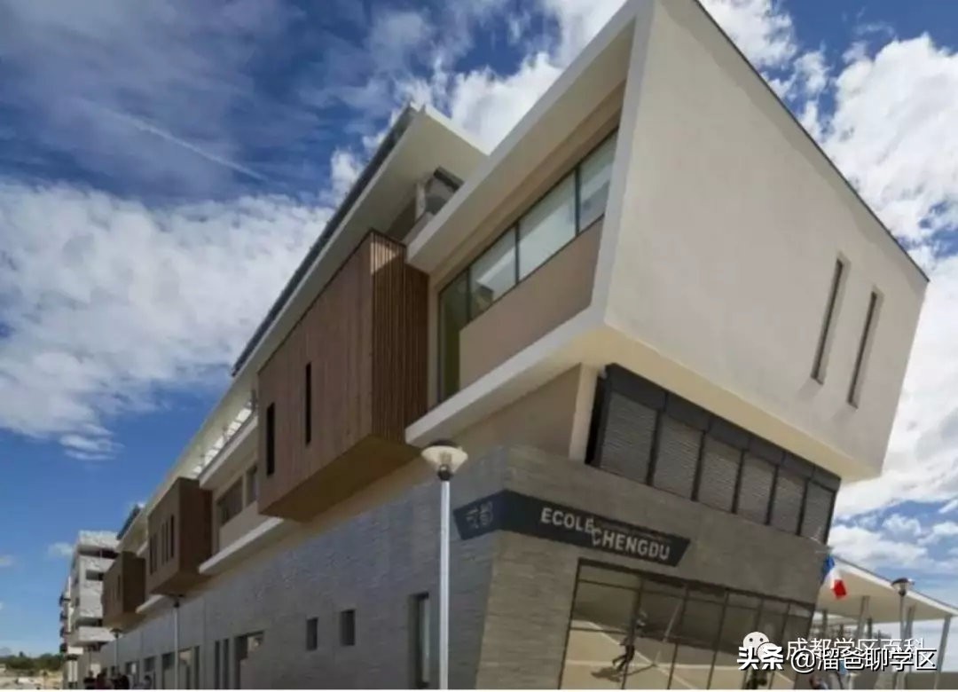 大源片区小学排名,高新区大源片区学校排名