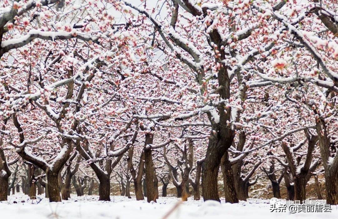 尧乡唐县,唐县自然风景区