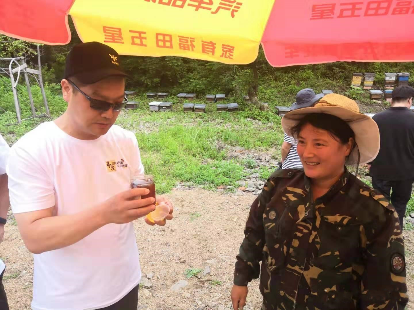 寻找纯蜂蜜,寻觅纯正的天然蜂蜜