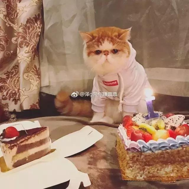 被我妈笑岔气了搞笑聊天记录,老妈顺产搞笑聊天记录