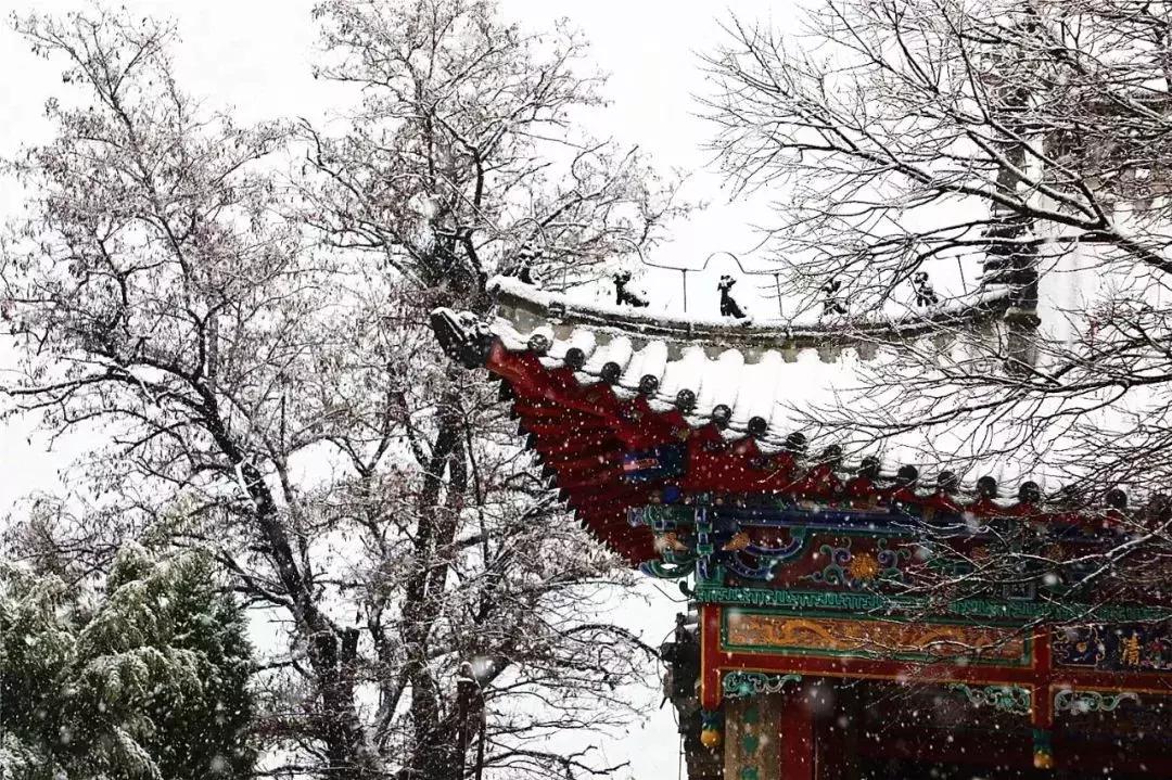 天津最适合旅游的小岛,不去景点北戴河怎么玩