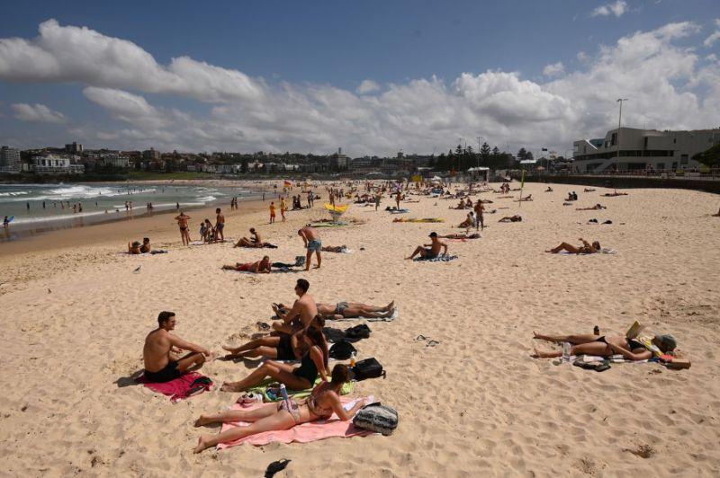 悉尼新冠病毒感染导致多少人死亡,悉尼新冠