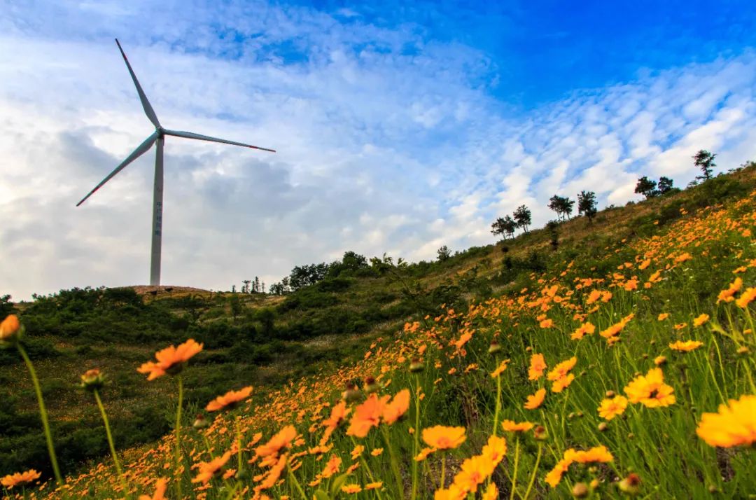 火力发电风电光伏发电一度电成本,风电一年能发多少度电