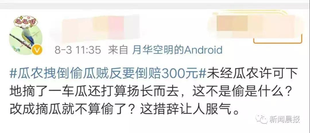 瓜农被偷瓜赔300元,瓜农摘瓜女子赔偿300元