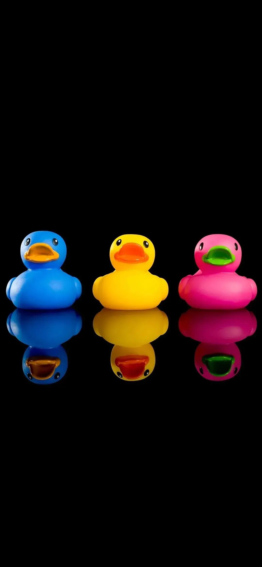 高清无水印绝美壁纸,普京超清4k无水印壁纸原图