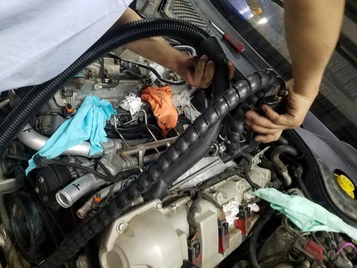 2020款巴博斯最低价,巴博斯全部20款车型