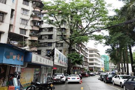 点亮容貌示范社区！快来为从化这6个社区点赞