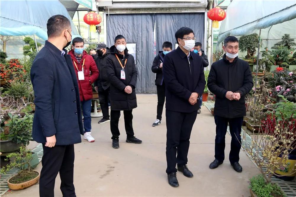 中国沭阳国际花木城在哪个城市,沭阳花木城的发展