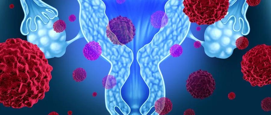 35岁从来没检查过宫颈癌,40岁都没做过宫颈癌筛查