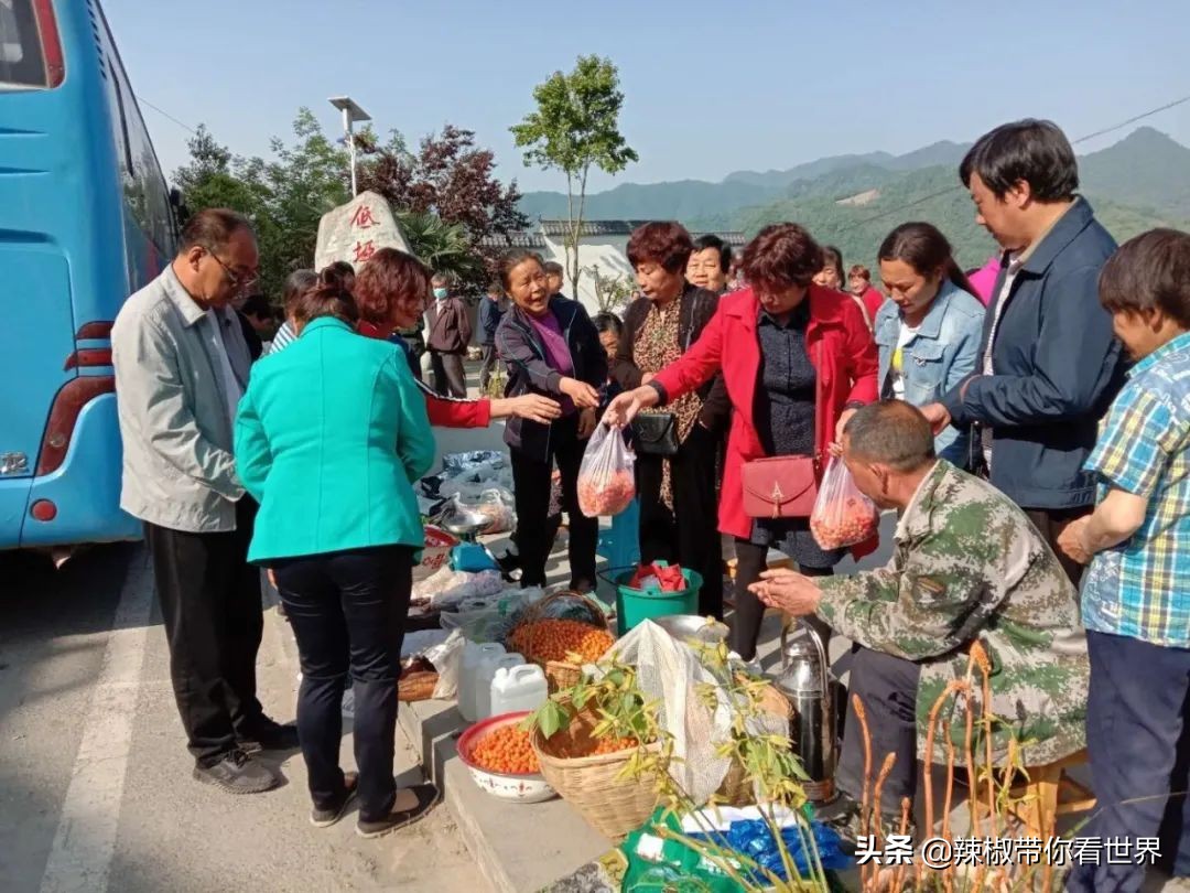 小城故事陇川,康县小城故事