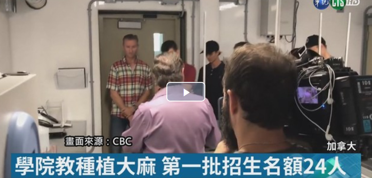 加拿大油菜籽出口滞销,加拿大大麻滞销