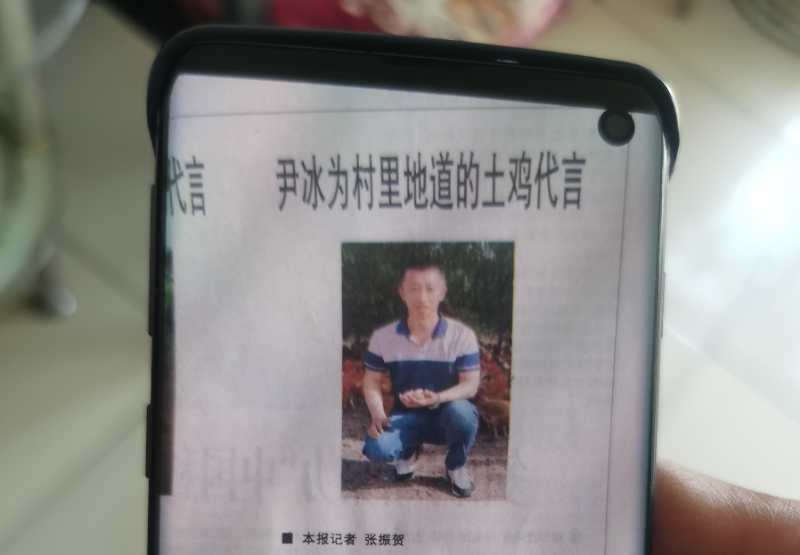 林下有哪些致富项目,林下养鸡100亩利润