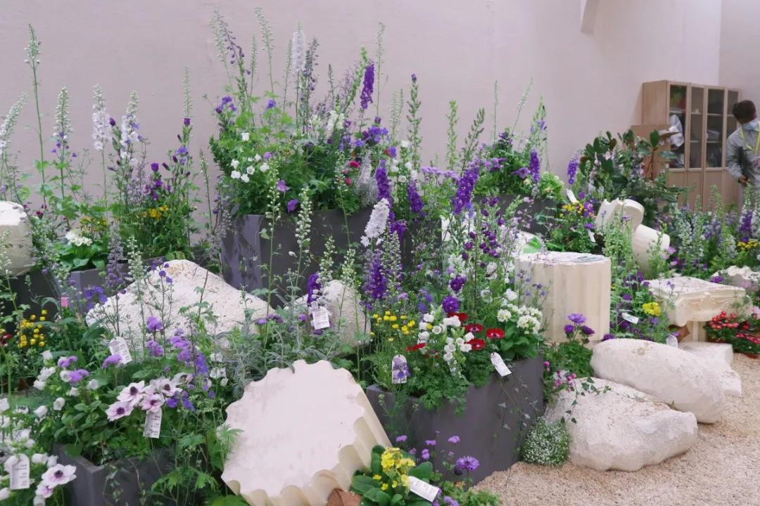 花展的意义,花展布展情况介绍