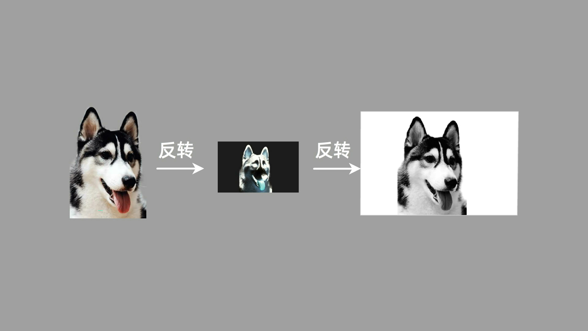 冲洗底片原理动画图,传统底片的冲洗的流程