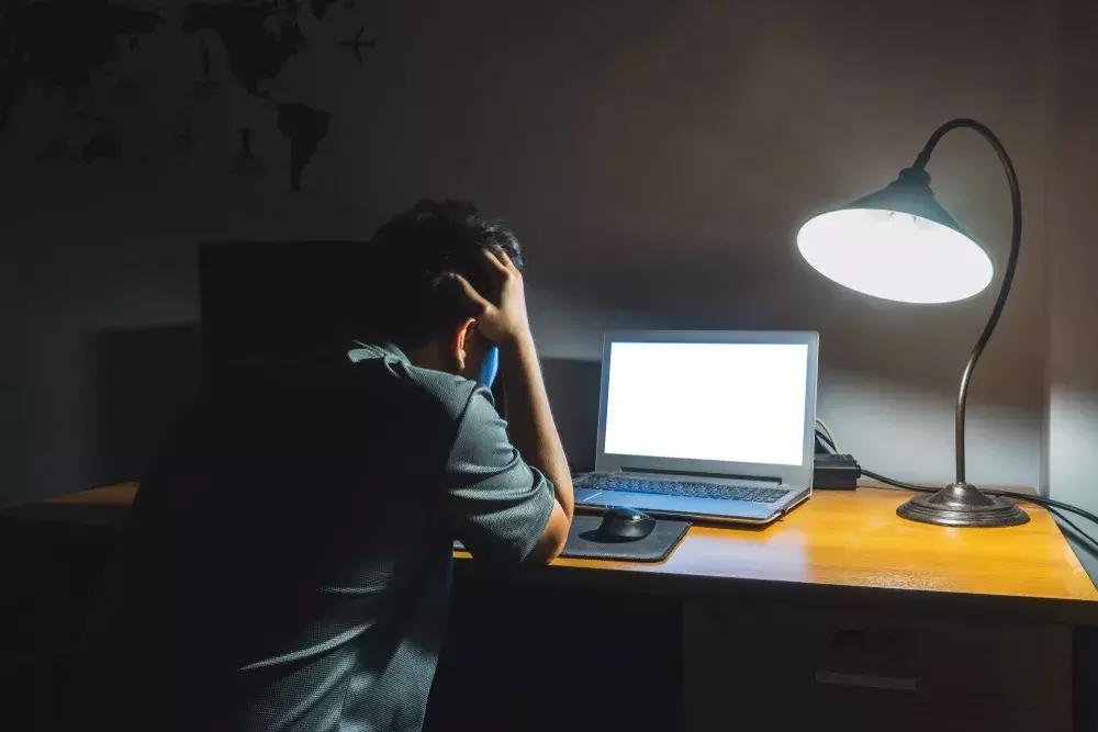 备份数据恢复在哪看得到,备份后恢复成功但是没有软件