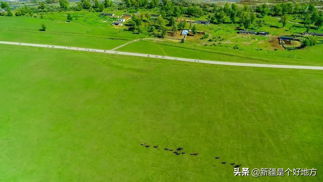 那拉提骑行登高大赛,那拉提花式骑行登高
