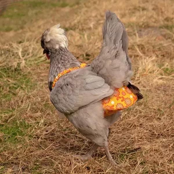 合租的奇葩室友后续,奇葩合租室友偷化妆品