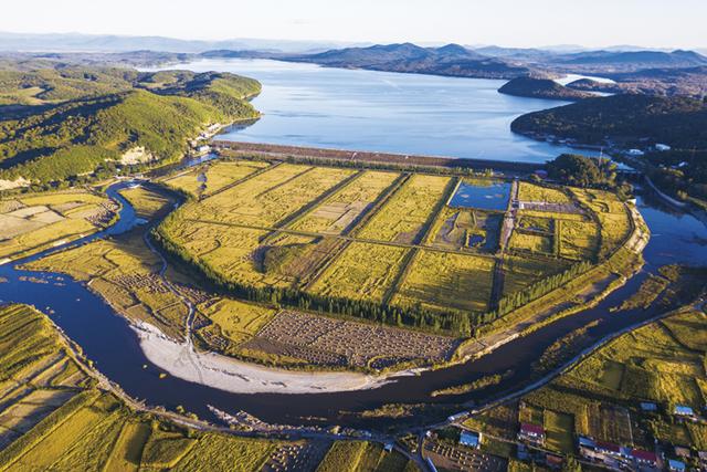 怎样的五常大米是最好的,最好的五常大米多少一斤