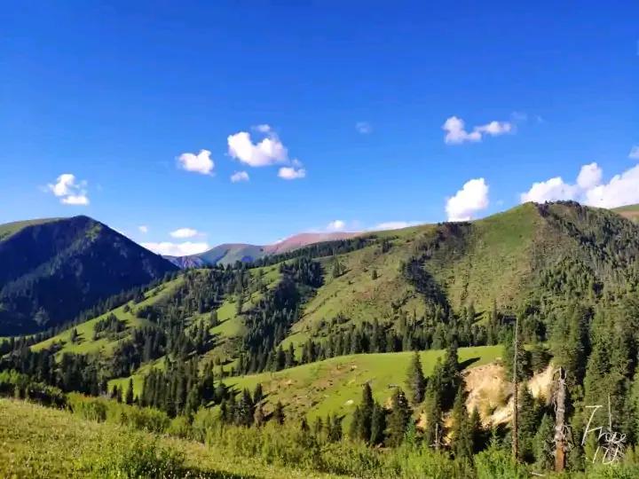 大学生去西藏支教的真实感受,真实的藏区支教